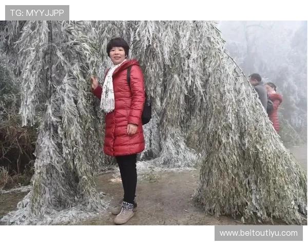 开云体育pp用户评价与反馈,了解真实使用体验与建议 开云体育pp用户评价与反馈,了解真实使用体验与建议
