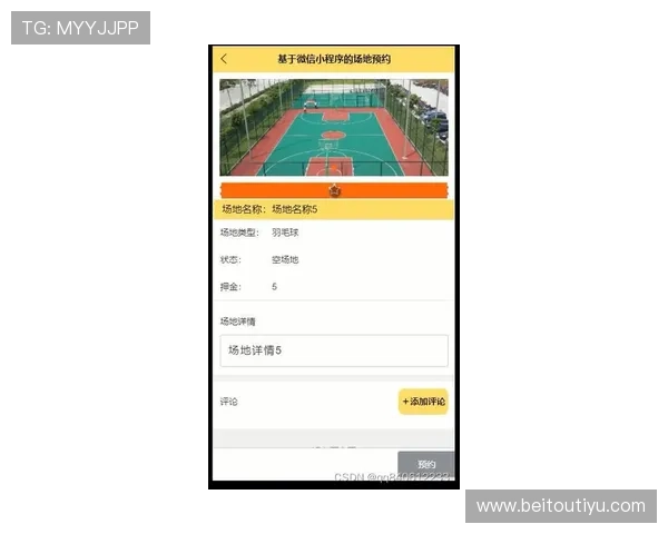 半岛体育app电脑版功能详解，满足体育迷多样化的观看和互动需求